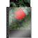Prat Cristal Laser Sheet Protectors - 14 x 17" - Ten Pack