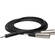 Hosa Technology Stereo Mini-Phone Male to 2 XLR Male Y-Cable - 6.6'