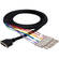 Hosa Technology DTP-805 Male DB-25 to 8 Stereo Male 1/4" Phone Snake Cable- 16.4' (5 m)