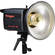 Photogenic Powerlight 1250 500 Watt/Second UV Monolight (120VAC)