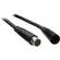 NSI / Leviton Cable - DMX 5 Pin - 3'