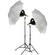 Impact Tungsten Two-Floodlight Kit with 6