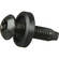 Raxxess Pin Torx Security Screws , Model PNTX-100 (Black)