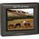 EverFocus EN-200 5.6-Inch LCD Monitor