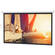 Da-Lite 95633 Slimline Electrol Motorized Projection Screen (45 x 80", 120V, 60Hz)