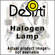 DeSisti 20K/230V Lamp for 20-24K Leo Fresnel