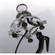 Dedolight DLH1000S+ 1K Soft Light Head (120-230V)