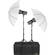 Impact Two Monolight Kit with Case (120VAC)