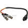 Hosa Technology S-Video to 2x BNC Female Video Cable - 10"