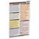 PhotoBert CheatSheet: Secrets of Great Digital Photography - Pocket Edition