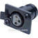 Littlite XLR-PS3 - 3-pin XLR Panel Socket