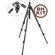 Manfrotto 190XPROB Tripod Legs (Black) with 804RC2 3-Way Pan/Tilt Head