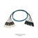 Whirlwind Medusa Multitrack 16 Channel 1/4" TRS Male to XLR Female Snake - 50'