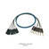 Whirlwind Medusa Multitrack 24 Channel 1/4" TRS Male to XLR Male Snake - 50'