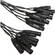 Whirlwind Medusa Multitrack 8 Channel XLR Male to XLR Female Snake - 50'