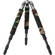 LensCoat LegCoat Tripod Leg Protectors (Forest Green, 3 Pack)
