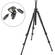Manfrotto 055XPROB Tripod Legs (Black) w/ 804RC2 Head