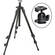 Manfrotto 055XDB Tripod Legs (Black) with 496RC2 Compact Ballhead