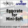 NSI / Leviton Eggcrate for Mini Soft-Lite