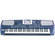 Korg Pa500 61-Key Professional Arranger