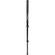 Manfrotto 681B 3 Section Monopod (Black) - Supports 26.5 lb (12kg)