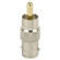 ARM Electronics BNCFTORCAM BNC Adapter