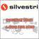 Silvestri Flexicam Bayonet Adapter Ring
