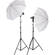 Impact Qualite 300 Focusing Flood 2 Light Kit (120VAC)
