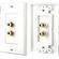 Pyle Pro PHWP1 Dual Post, Banana Plug Wallplate