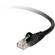 Belkin 14' (4.3 m) RJ-45 Cat6 Snagless Patch Cable (Black)