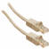 GGI UTP CAT5e Ethernet Cable With Molded Boots (15', Beige)