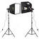 Impact Qualite 300 Focusing Flood 2 Light Soft Kit (120VAC)