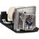 Optoma Technology Replacement Lamp for HD20 Projector