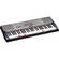 Casio LK-230 - 61 Key Portable Keyboard with Lighted Keys
