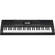Casio CTK-3000 - 61 Key Portable Keyboard with Piano-Style Keys