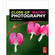 Focal Press Book: Close-Up and Macro Photography by Adrian Davies