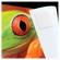 Lineco 533-0030 Infinity Photo Tabs (500 Pack)