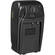 Pearstone Compact AC/DC Charger for Sanyo DB-L40 Battery