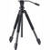 Swarovski CT 101 Carbon Fiber Tripod w/ DH 101 Head