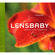 Lensbaby BOOK BENDING YOUR PRSPCTV BY COREY HLZ