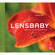 Lensbaby Book: Lensbaby: Bending Your Perspective by Corey Hilz