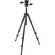 Manfrotto 294 Aluminum 3-Section Tripod W/3-Way Head
