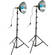 Impact Daylight 12" Reflector Two-Floodlight Light Kit with 6