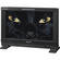 Sony PVM-1741 OLED Picture Monitor (17")