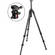 Oben CC-2320 3-Section Carbon Fiber Tripod with BB-1 Ball Head Kit