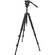 Zeiss Aluminum 3-Section Tripod with 2-Way Head