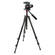 Manfrotto MH055M8-Q5 Photo-Movie Tripod Head with 755XB Aluminum Video Tripod Kit