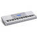 Casio WK-225 Portable Keyboard