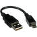 Okii Systems A to Mini-B USB Cable 6"