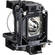 Panasonic ET-LAC100 Projector Replacement Lamp
